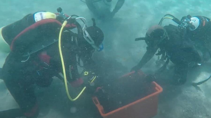 Nel mare della Gallura un tesoro di 50mila monete del IV secolo