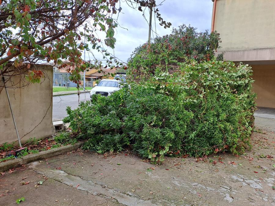 
	I danni provocati dal vento in via Turritana

