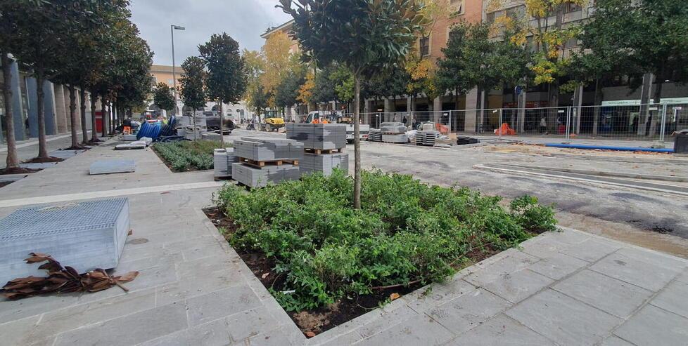 Stazione di Pisa, viale Gramsci diventa "verde": più alberi sul maxi marciapiede<br>
