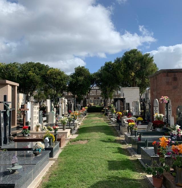 I fiori per i defunti battono la crisi: «A novembre nessuno rinuncia»