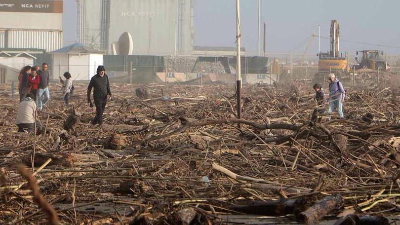 La spiaggia ricoperta di tonnellate di legname
