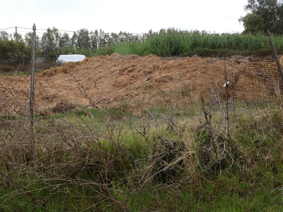 
	Il letame accumulato in un campo in uso alla Societ&agrave; Oristanese di Equitazione

