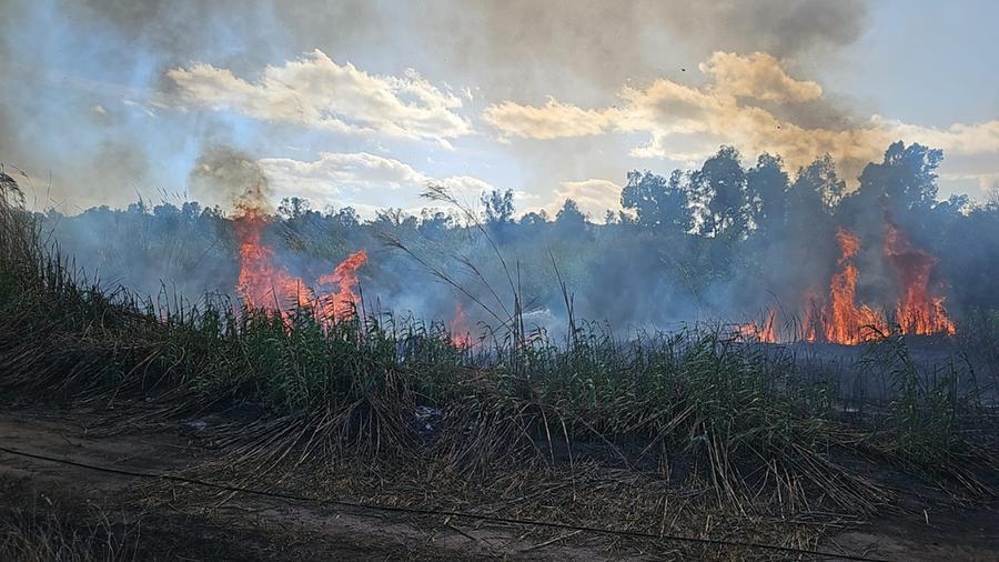 
	Il rogo lungo gli argini del Rio Foddeddu

