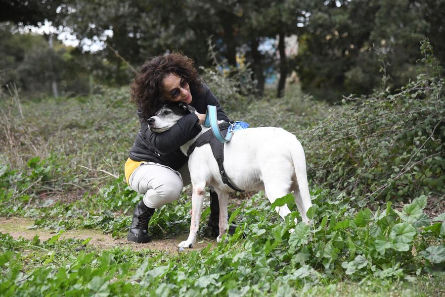 
	Un cane con la proprietaria (foto Locci)

