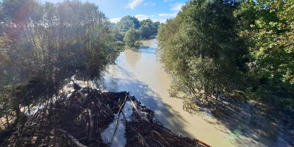 Fiumi, a Modena riaperti i ponti dopo l’allerta. Ma sul Panaro c’è una diga di alberi<br type="_moz" />
