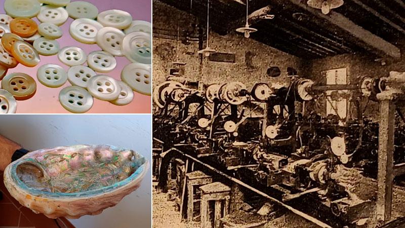 Quando Livorno era capitale dei bottoni in madreperla