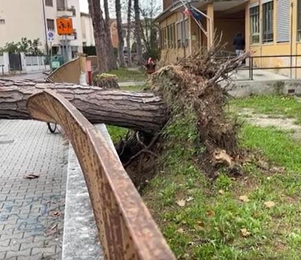 Maltempo e allerte, il sindaco di Pisa Conti: «Non si possono chiudere le scuole ogni volta»
