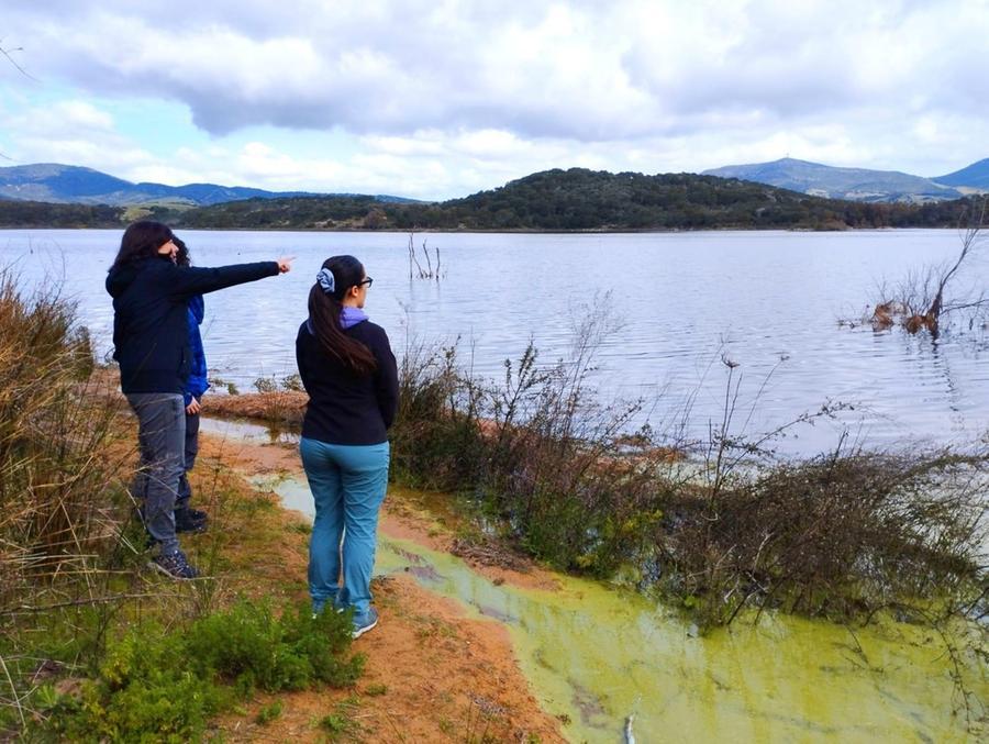 
	Nella foto il lago di Baratz

