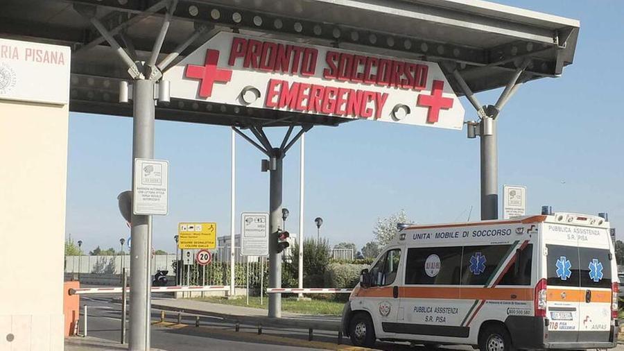 Pisa, colpita alla testa da un cavallo: grave donna di 32 anni
