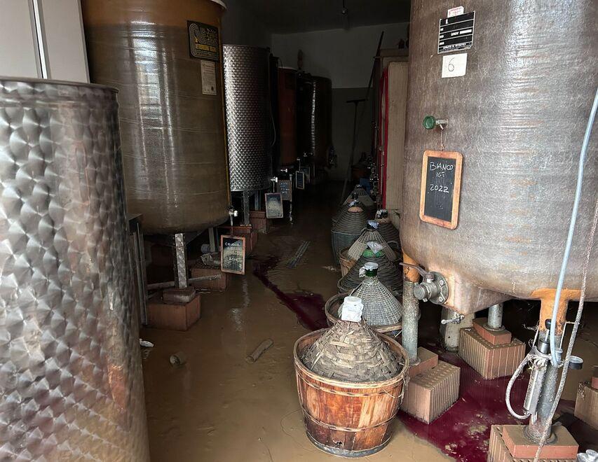 I danni subiti dalla cantina dell’agriturismo
