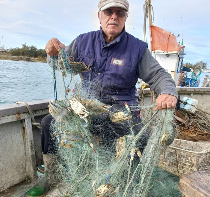 Porto Garibaldi: «Anche noi rovinati dal granchio blu»<br type="_moz" />
