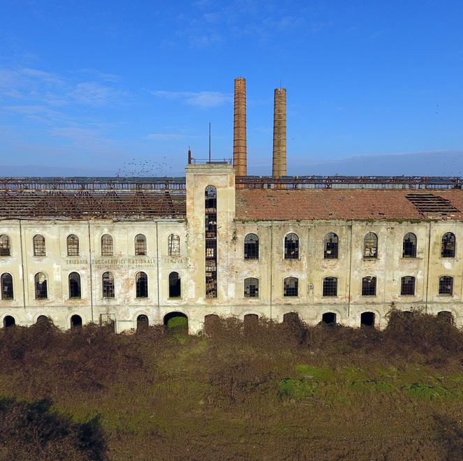 Nove milioni per il Basso Ferrarese, i quattordici progetti in campo fra inclusione, socialità e turismo