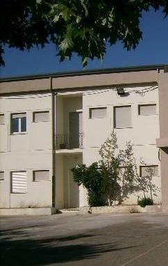 Oliena, invasione di topi nelle scuole 