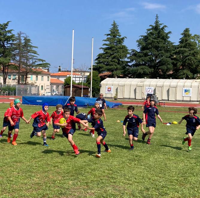 Un momento di un toneo amichevole organizzato dal Rugby Cecina (foto Michele Falorni /Silvi)