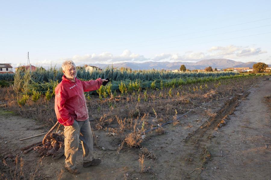 
	Il vivaio dove &egrave; stato trovato il corpo senza vita di Antonio Tumolo (foto Autovino)

