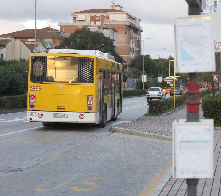 Pisa, caos bus navetta: «Saltano le corse, alla fine costretti ad andare a piedi»<br>
