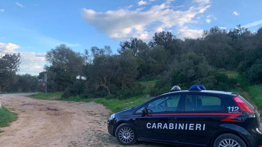 Civitella: anziano cade nel bosco, salvato dai carabinieri