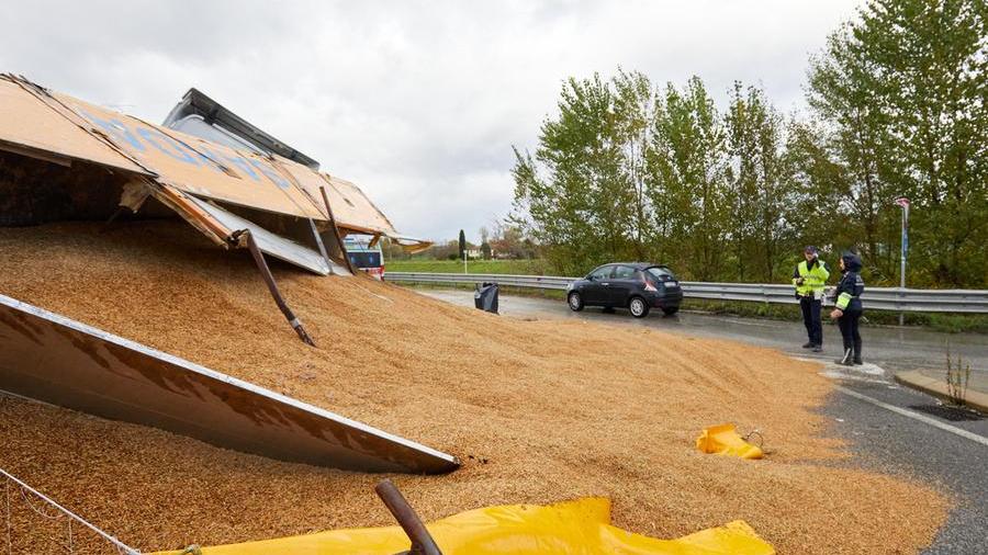 Autotreno si ribalta sulla 429 a Castelfiorentino, cereali rovesciati in strada