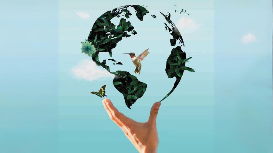 Salviamo la terra: il Festival di Sae su ambiente, etica, cultura e società – Il programma