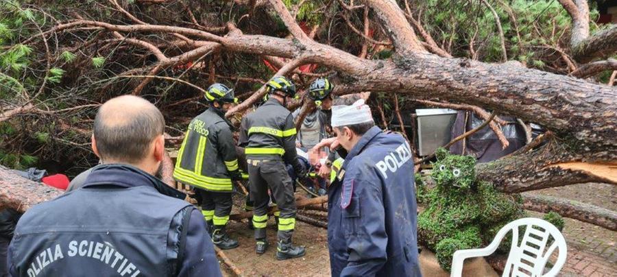 
	I soccorsi dei vigili del fuoco e dei poliziotti, a loro volta feriti, subito dopo il crollo dell&rsquo;albero

