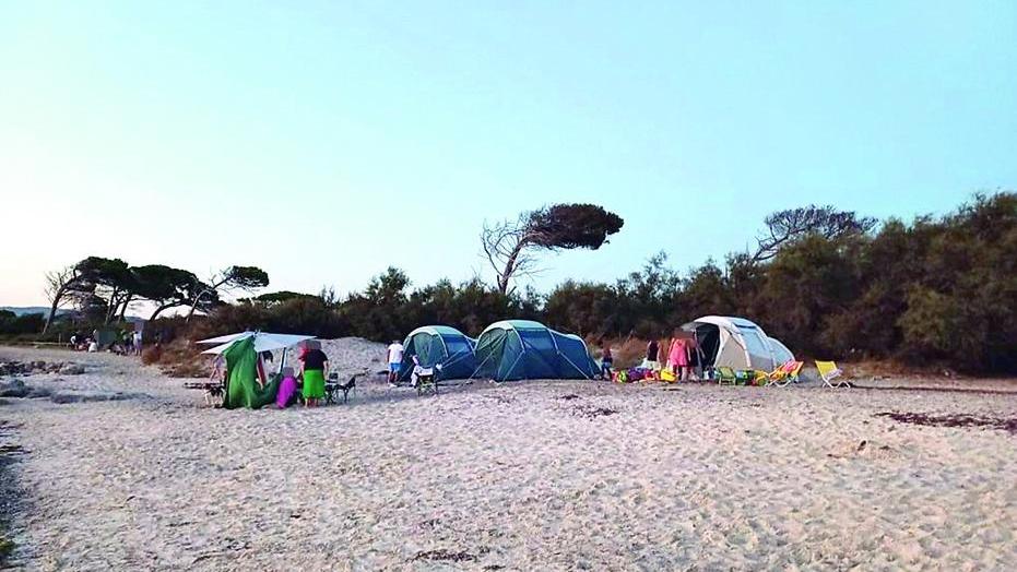 Alune tende "alle spiagge bianche" di Vada