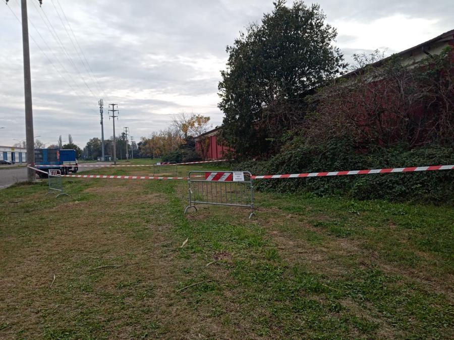 Ferrara, esche avvelenate nell’area verde