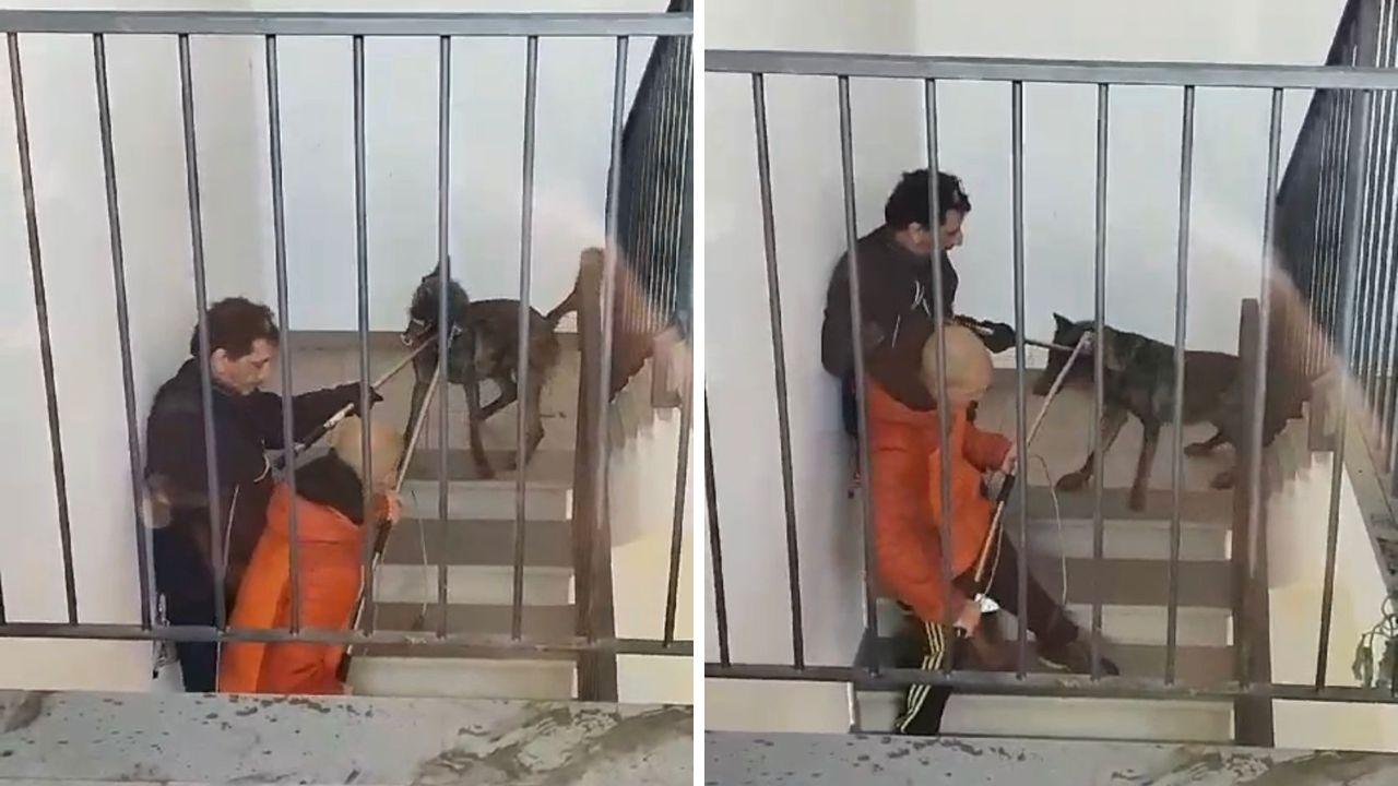 Gli attimi della cattura