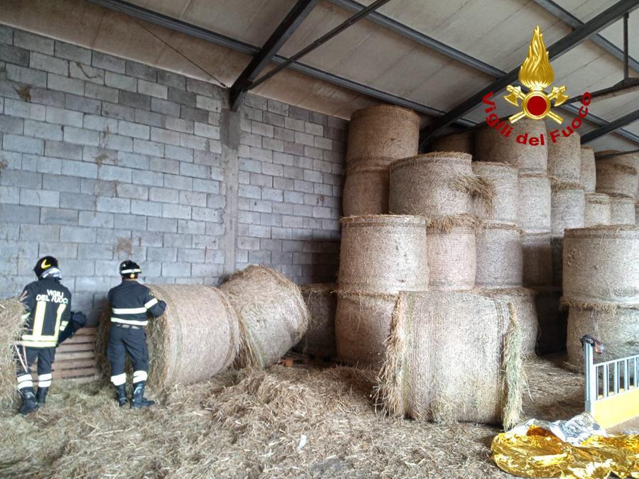 
	L'interno del capannone nel quale &egrave; accaduto l'incidente

