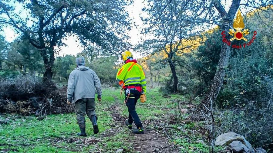 Uomo perde l’orientamento nelle campagne di Villanova Monteleone. Salvato dai vigili del fuoco