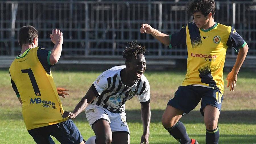 Massese- Castelfiorentino, la partita finisce a reti bianche