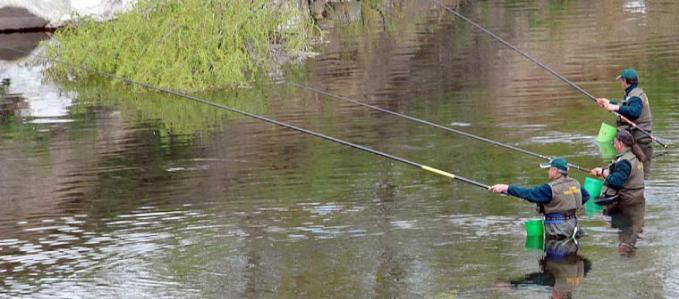 Grosseto, Giampaolo Ricci (Fipsas): «La nuova legge sulla pesca ci piace. Ma aiutateci contro i bracconieri»