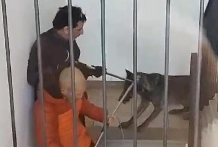 Un frame del video pubblicato da “Non au loup”
