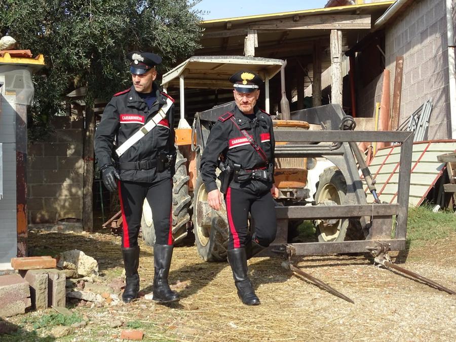 Serdiana, sconfina nel pascolo vicino: denunciato un allevatore