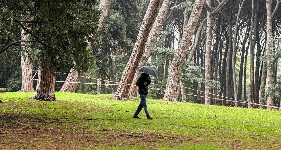 Pineta con alcune zone interdette  delimitate da metri di fettucce   