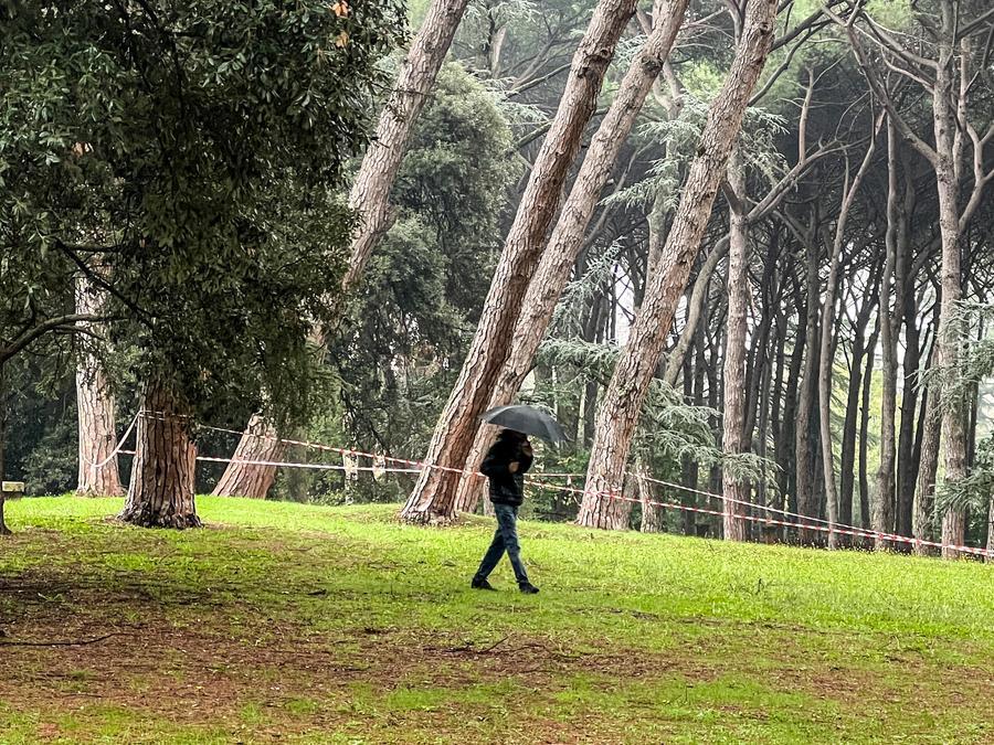 
	Le zone delimitate in pineta (foto Nucci)

