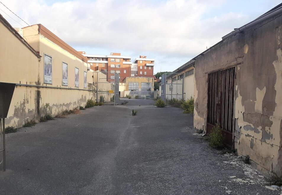 Livorno, studenti in scooter e caos sosta. Cepparello: «A inizio anno un parcheggio nuovo»<br>
