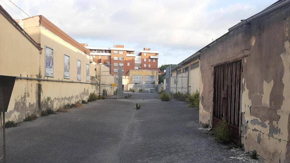 Livorno, studenti in scooter e caos sosta. Cepparello: «A inizio anno un parcheggio nuovo»<br>