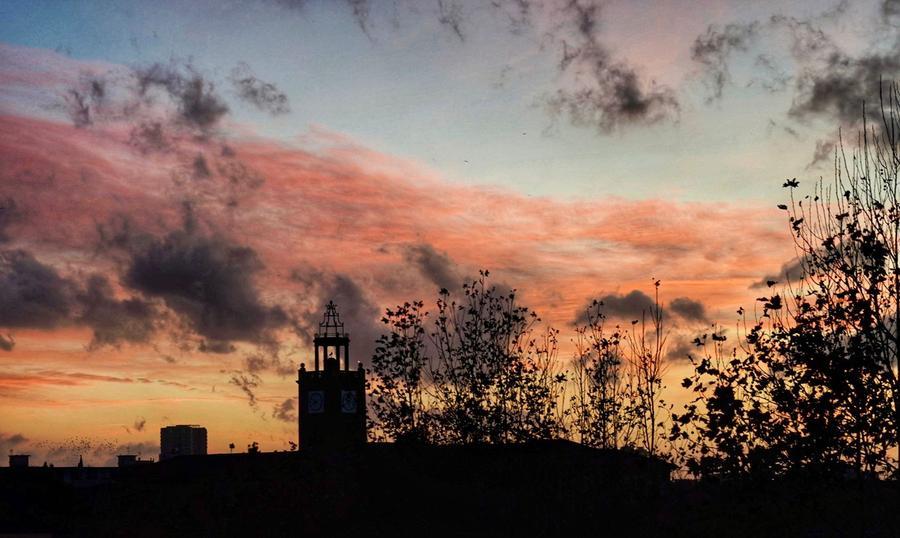 
	Il cielo sopra la Livorno al tramonto marted&igrave; 14 novembre (Foto di Franco Silvi)

