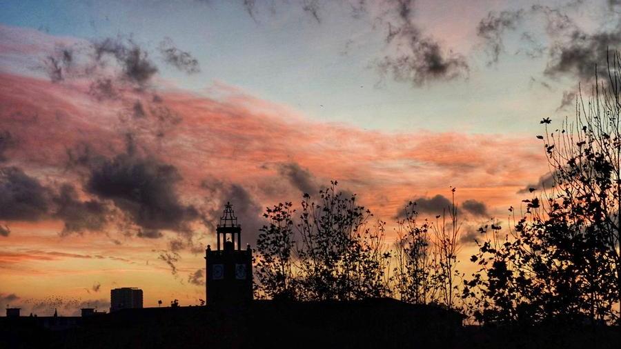 Il cielo sopra la Livorno al tramonto martedì 14 novembre (Foto di Franco Silvi)