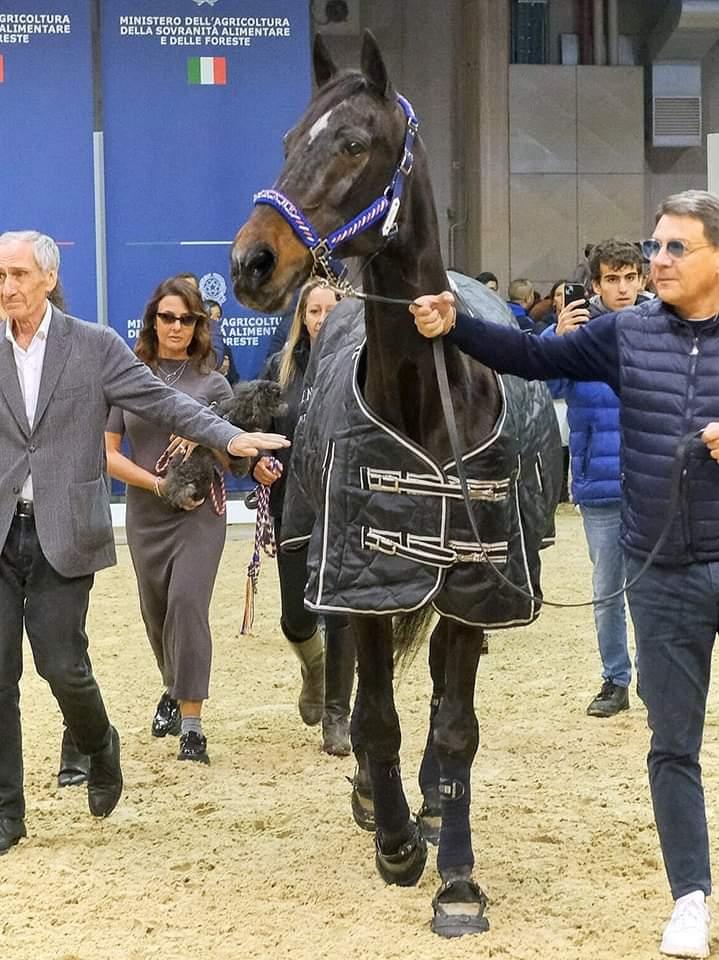 Varenne da Copparo, il grande cavallo si ritira a vita privata