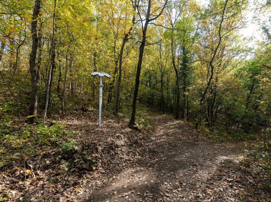 L’arte contemporanea in dialogo con la natura delle terre matildiche