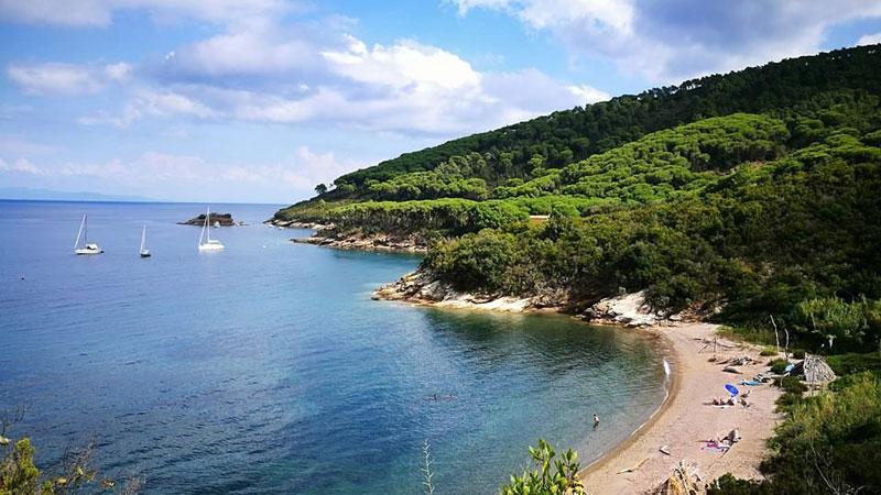 Elba, ecco l’eco taxi boat: barche a energia solare per collegare le spiagge. I lidi coinvolti
