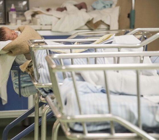 Record di figli unici: ecco perché a Firenze la natalità è in calo