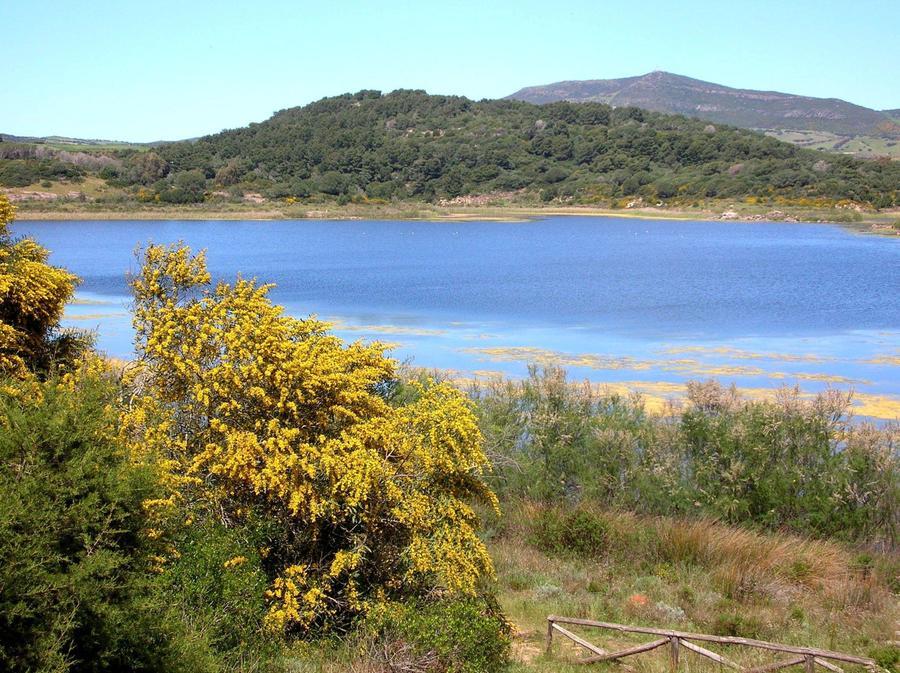 
	Quello di Baratz &egrave; l'unico lago naturale della Sardegna

