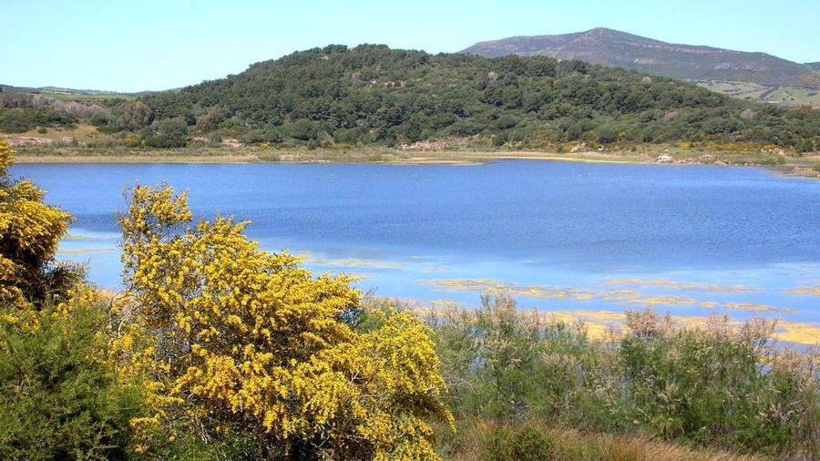 
	Quello di Baratz &egrave; l&#39;unico lago naturale della Sardegna

