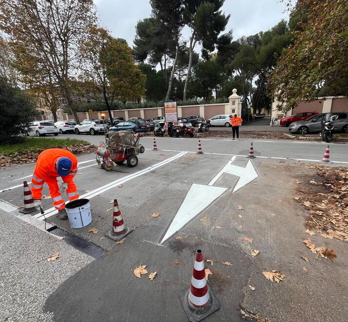 
	Le strisce in viale Alfieri


