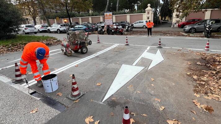 Le strisce in viale Alfieri