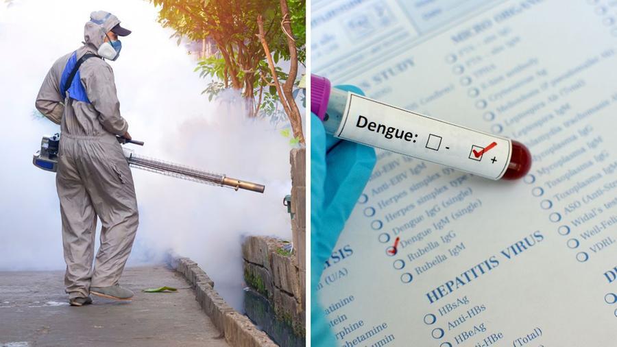 Dengue: caso mortale in Toscana