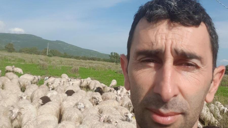 L’ex onorevole del M5s Luciano Cadeddu ritorna nei campi: «È questa la vita che amo di più»