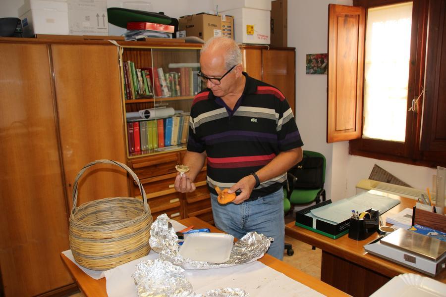 
	Un micologo dell'ispettorato micologico dell'Asl di Sassari

